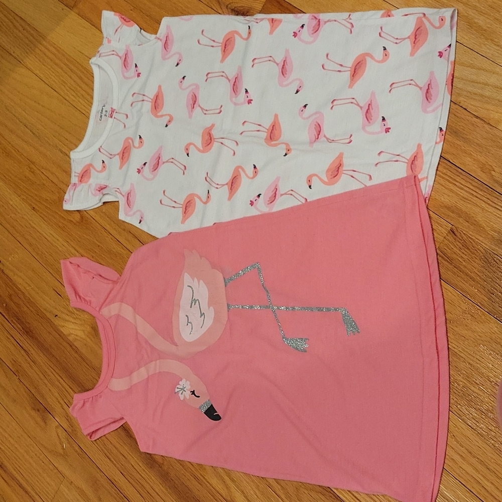Girls 2-3 Carters Nightgown set of 2